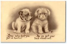 1911 Bulldog Dog Haired Pets Animals Why Don't You Get A Haircut Posted Postcard picture