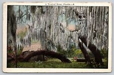 Postcard FL A Tropical Scene picture