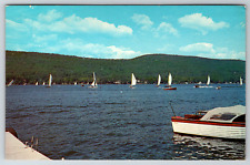 c1960s Billowing Sails Sailboats Vintage Postcard picture
