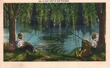 Cozy Spot In Poconos Trout Fishing Lake Nature Recreation Attraction Postcard picture