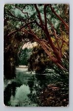 Laguna Del Ray CA-California, Laguna Del Ray Hotel, Antique Vintage Postcard picture