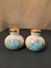 Antiq Floral Salt & Pepper Shaker Hand Painted Blue Forget-Me-Nots German Signed picture