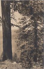 Huntington Lake California Lake Shore 1947 PM RPPC Photo Postcard picture