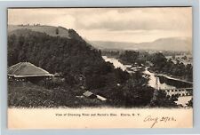 Elmira NY, Chemung River & Rorick's Glen, New York c1905 Vintage Postcard picture