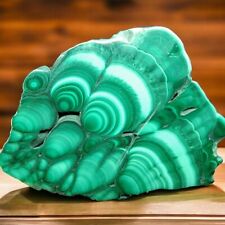 HIGH QUALITY 3 INCH MALACHITE SLAB ZAIRE AFRICA 78 GRAMS picture