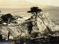 2R Photograph Midas Point Monterey California Artistic POV Trees RPPC Postcard picture
