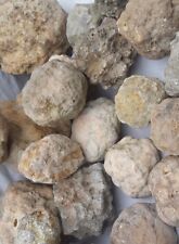 Unopened Geodes Mixed Large Box Natural Quartz Kentucky Crystal 20Lbs Family Fun picture