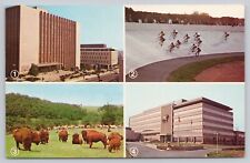 Allentown Pennsylvania, Court House Velodrome Mack Trucks HQ, Vintage Postcard picture