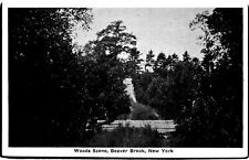 VINTAGE POSTCARD IN THE WOODS AT BEAVER BROOK NEW YORK c. 1920s VIEW picture