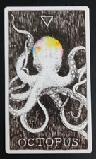 The Wild Unknown Animal Spirit Card Octopus picture