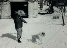Blurry Dog Chasing A Snowball B&W Photograph 3.5 x 5 picture