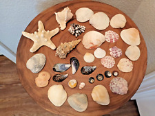 Beautiful Authentic Mixed Lot Star Fish & Seashells Decor picture