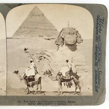 Great Pyramid Sphinx Camels Stereoview c1896 Underwood Giza Egypt Cairo H1585 picture