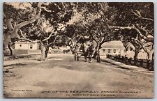 Postcard One Of Beautifully Shaded Streets In Rockport Texas Unposted picture