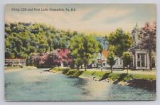 Irving Cliff & Park Lake Honesdale Pa Linen Postcard No 5064 picture