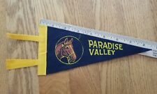 Rare Vintage 1974 Iowa Paradise Valley Horse Campground Pennant Flag picture