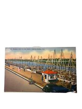 Sponge Fleet At The Docks, Tarpon Springs, Florida, Vintage Linen Postcard T-5. picture
