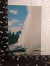 Postcard - Pohutu geyser leaps high - Rotorua, New Zealand picture