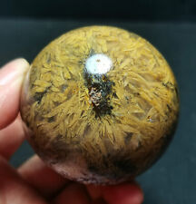 RARE Natural Beautiful Golden Hair Rutilated Agate Crystal Sphere Healing WD1411 picture