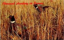 Pheasant Hunting Kansas KS Postcard VTG UNP Plastichrome Vintage Unused Chrome picture