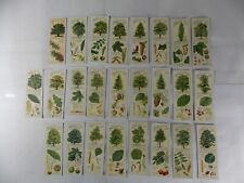 Typhoo Tea Cards Trees of the Countryside 1938 Complete Set 25 picture