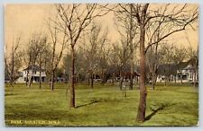Holstein Iowa~City Park Lawn~Big Homes at Edges~Bare Trees~1909 Postcard picture