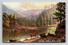 Scenic View River Dee Cattle Balmoral Scotland UK Raphael Tuck Oilette Postcard picture