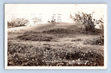 RPPC 1933. DESERT FLOWERS. PALM SPRINGS, CALIF. POSTCARD. SL31 picture