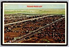 Texas TX - Cattle Feed Lot - Amarillo Headquarters - Vintage Postcard 4x6 picture
