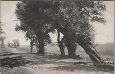 The Willows, Kearsarge Mountain Road, Lake Sunapee, New Hampshire Postcard picture