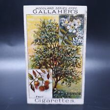 1912 Gallaher Cigarette Woodland Trees #86 True Service Antique Tobacco Card picture