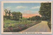 Greetings From Washburn North Dakota~Country Scenes~Flower Lined Road~PM 1948 PC picture