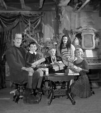 The Munsters Herman Lily Eddie Grandpa  Marilyn celebrate Christmas 24x30 poster picture