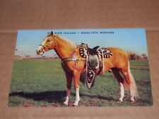 MILES CITY MONTANA - 1957 POSTCARD - RED ROCK VILLAGE - GOLDEN PALOMINO HORSE picture