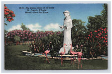 Postcard 1954 FL Statue Flamingos Birds St Francis D Assisi Miami Florida    picture