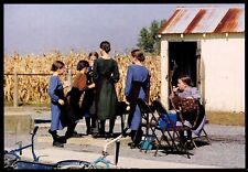 School Girls Amish Seasons Pennsylvania Postcard picture
