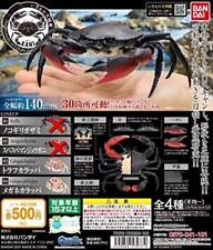 Ikimono Encyclopedia Crab full set of 2 picture
