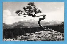 Postcard CO Colorado Longs Peak Lone Pine High Drive — Vintage RPPC Posted 1948 picture