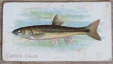1910 T58 American Tobacco Fish Series Creek Chub picture