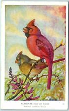 Postcard - No. 39 Cardinal picture