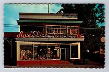 Ste Anne , Quebec, Aux Shick Shocks Inc Advertising Antique, Vintage Postcard picture