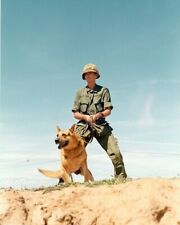 U.S. Soldier Dog Handler German Shepard Military Dog 8x10 Vietnam War Photo 549 picture