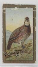 1910 ATC Bird Series T42 Mecca Factory 649 Quail 1t3 picture