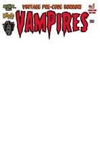 Vampires Blood Shot #1 Blank Variant Cover C picture