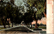 Antique C 1905 Pepper Drive Ave. Cypress Recreation Los Angeles CA Postcard picture