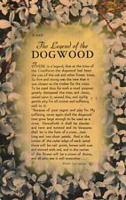 Postcard The Legend of the Dogwood 1948 Linen picture
