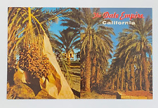 The Date Empire Indio California Postcard Unposted picture