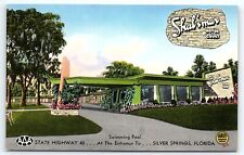 1950s SILVER SPRINGS FL SHALIMAR MOTOR COURT HWY 40 SWIMMING POOL POSTCARD P3131 picture