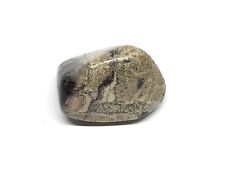 Silver Leaf Jasper Genuine Stone from Africa 35g RARE “B” Grade picture