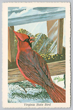 Postcard Virginia State Bird Cardinal Painting by Ken Haag 1968 picture